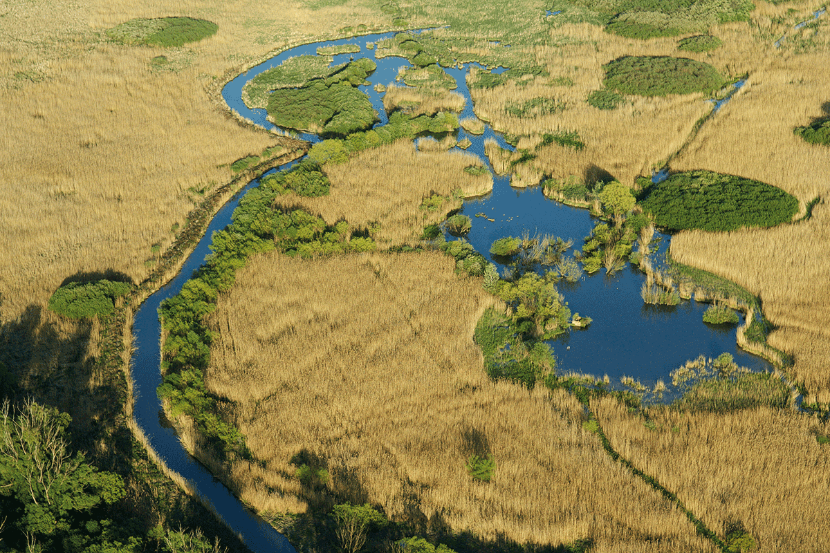 Naturpark Neusiedlersee