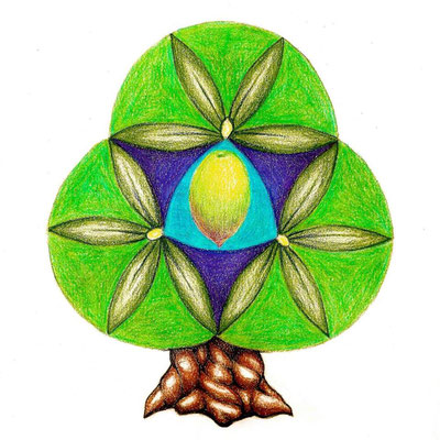 Teel Organics