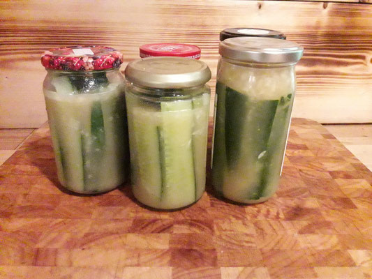 Essiggurken ohne Kochen