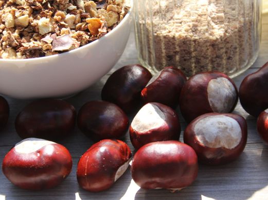 Rosskastanie als Naturwaschmittel