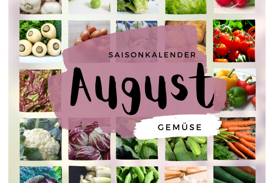 Saisonkalender August Gemuese
