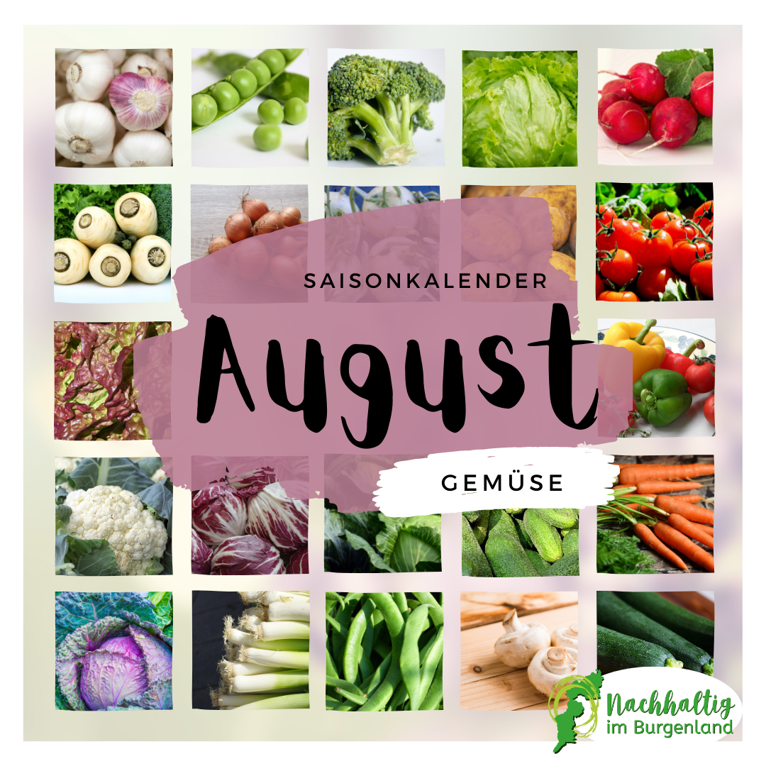 Saisonkalender August Gemuese