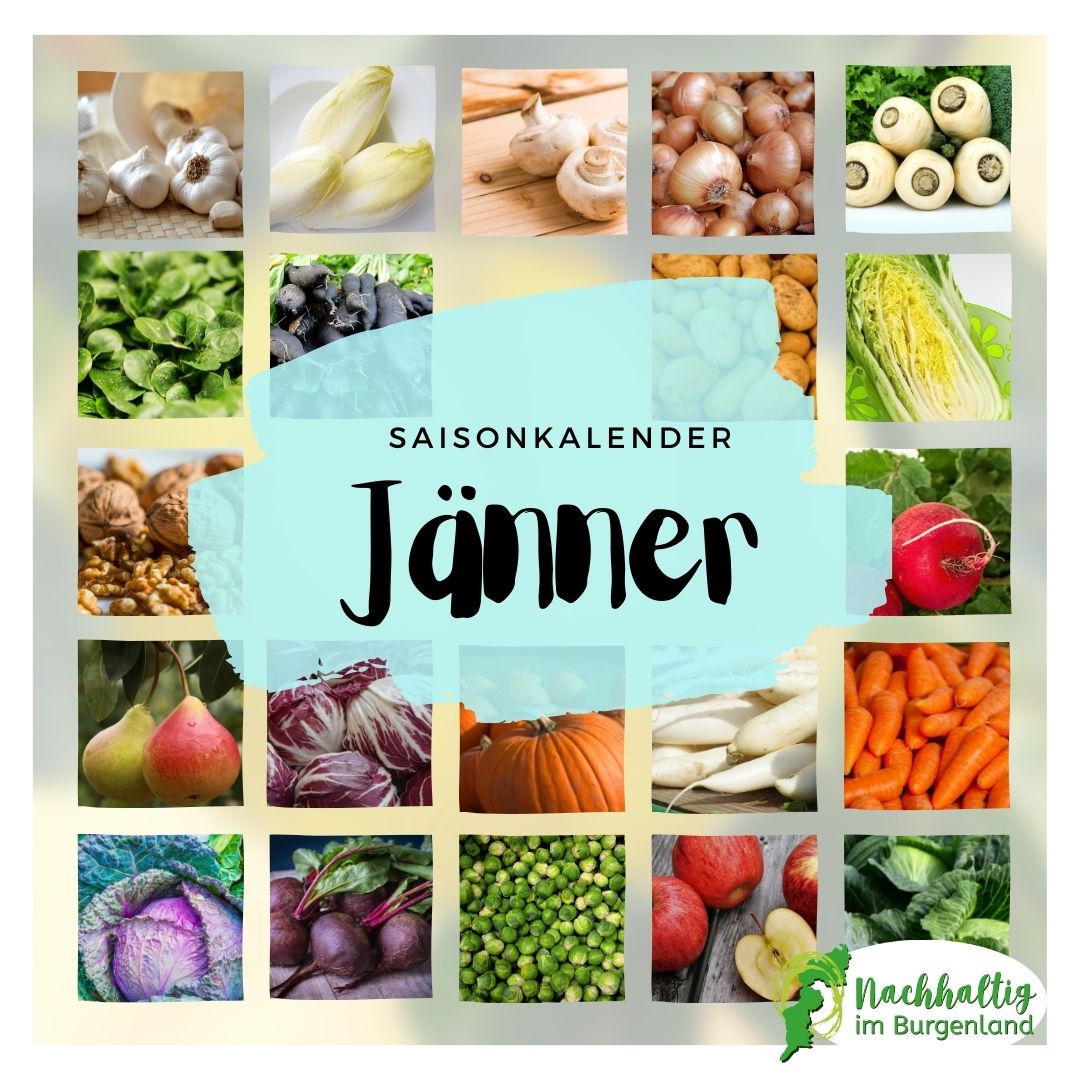 01 Saisonkalender Jaenner
