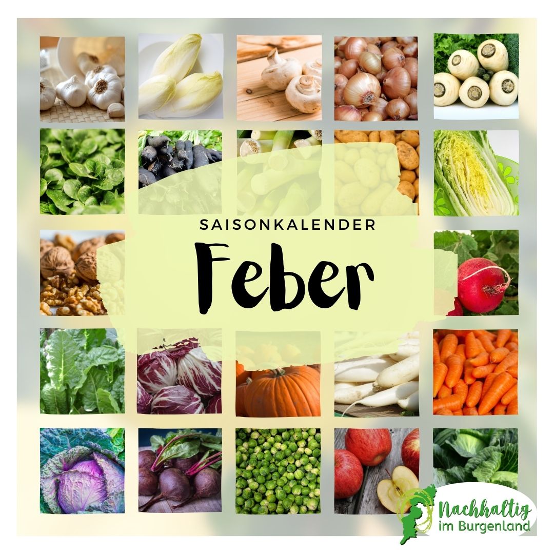 02 Saisonkalender Feber