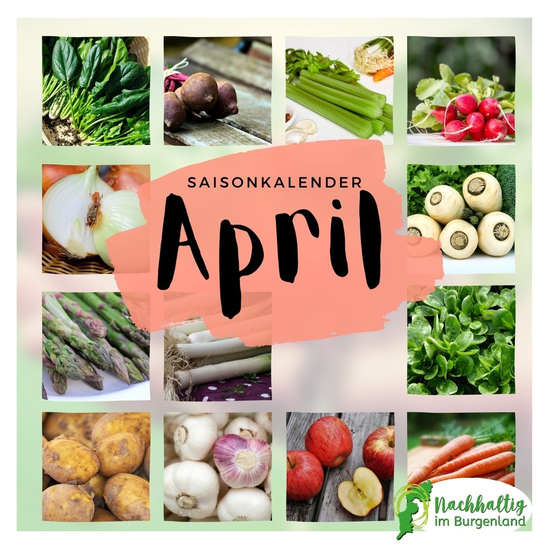 04 Saisonkalender April