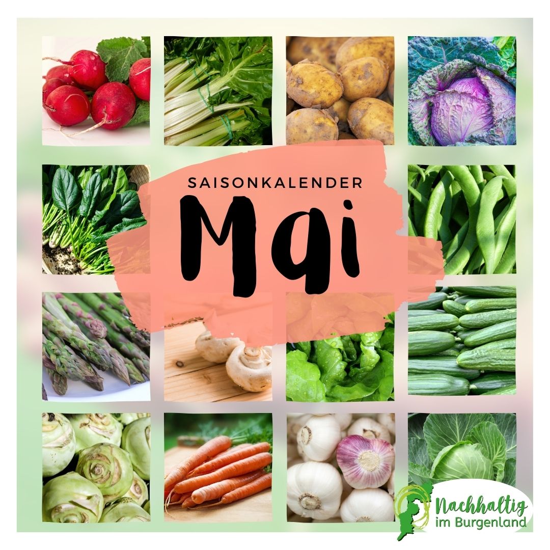 05 Saisonkalender Mai