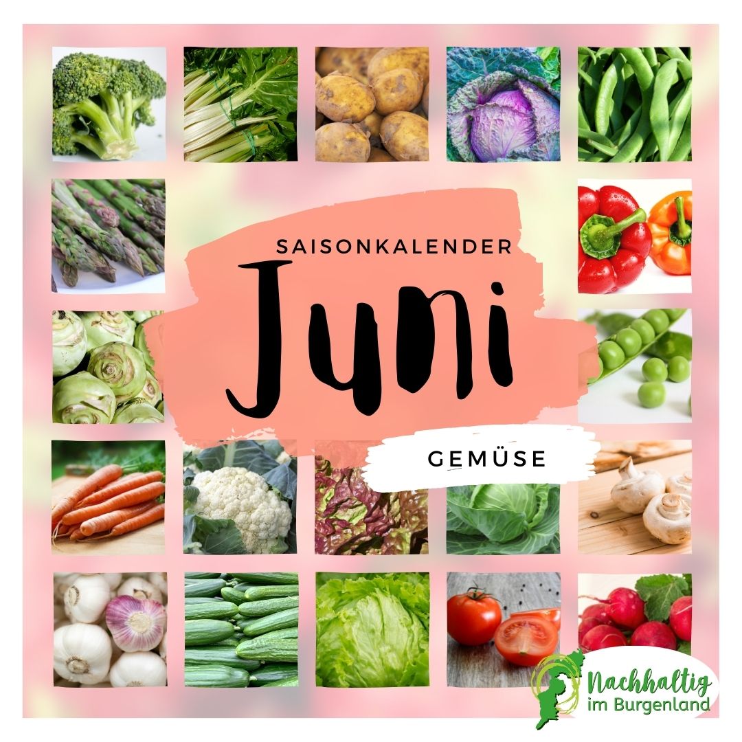 06 Saisonkalender Juni kleiner