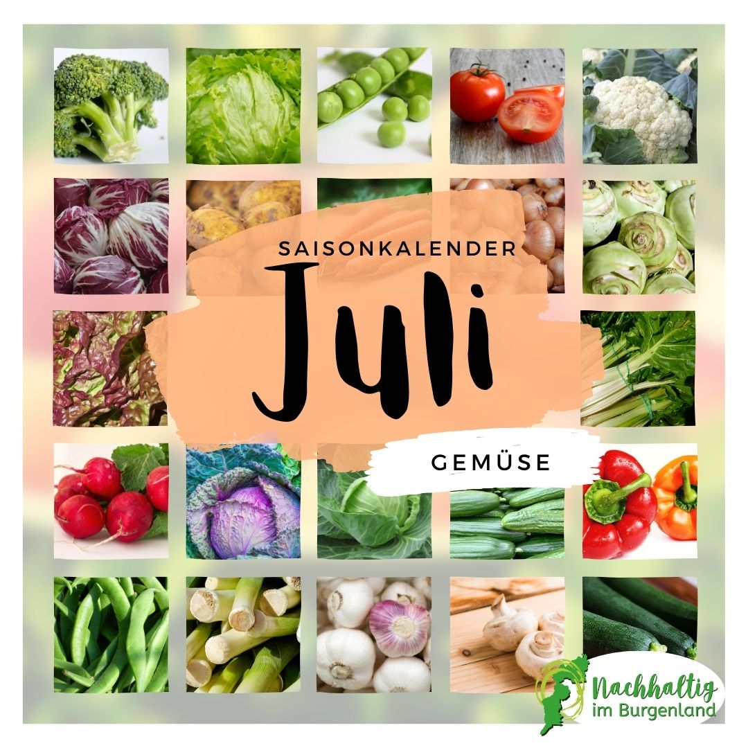 07 Saisonkalender Juli kleiner