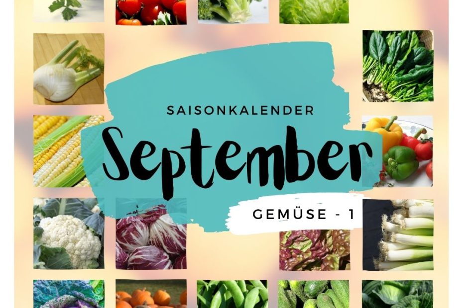 09 Saisonkalender September Gemuese 1