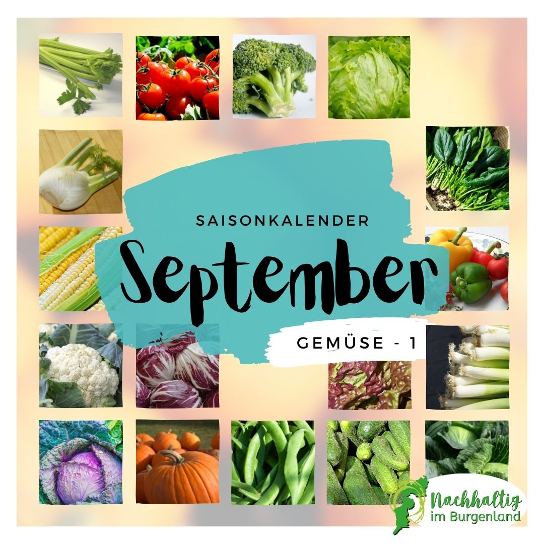 09 Saisonkalender September Gemuese 1