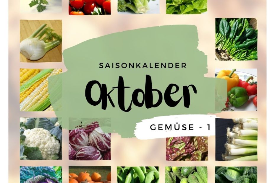 10 Saisonkalender Oktober Gemuese 1