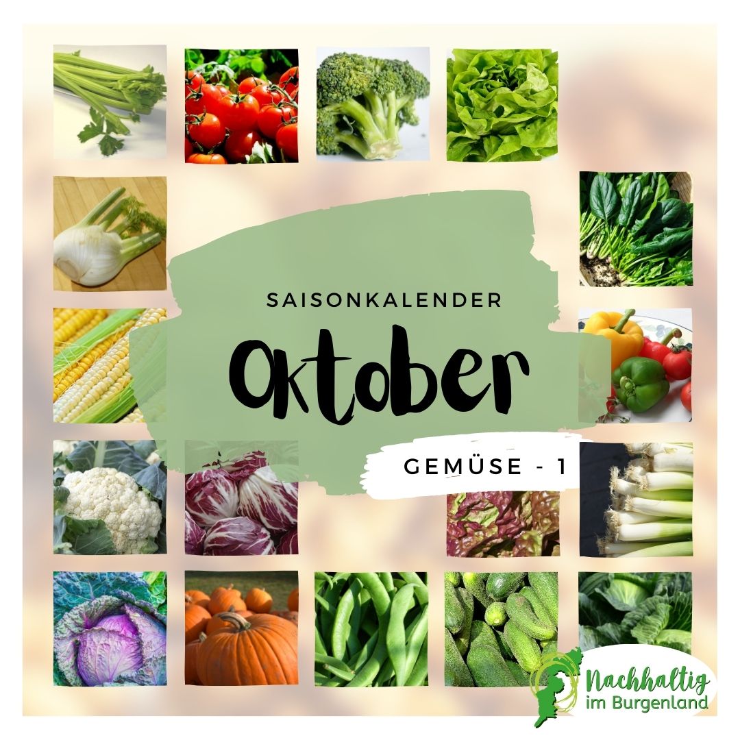 10 Saisonkalender Oktober Gemuese 1