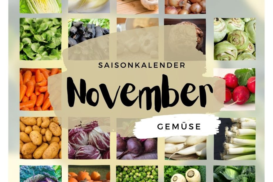 11 Saisonkalender November Gemuese