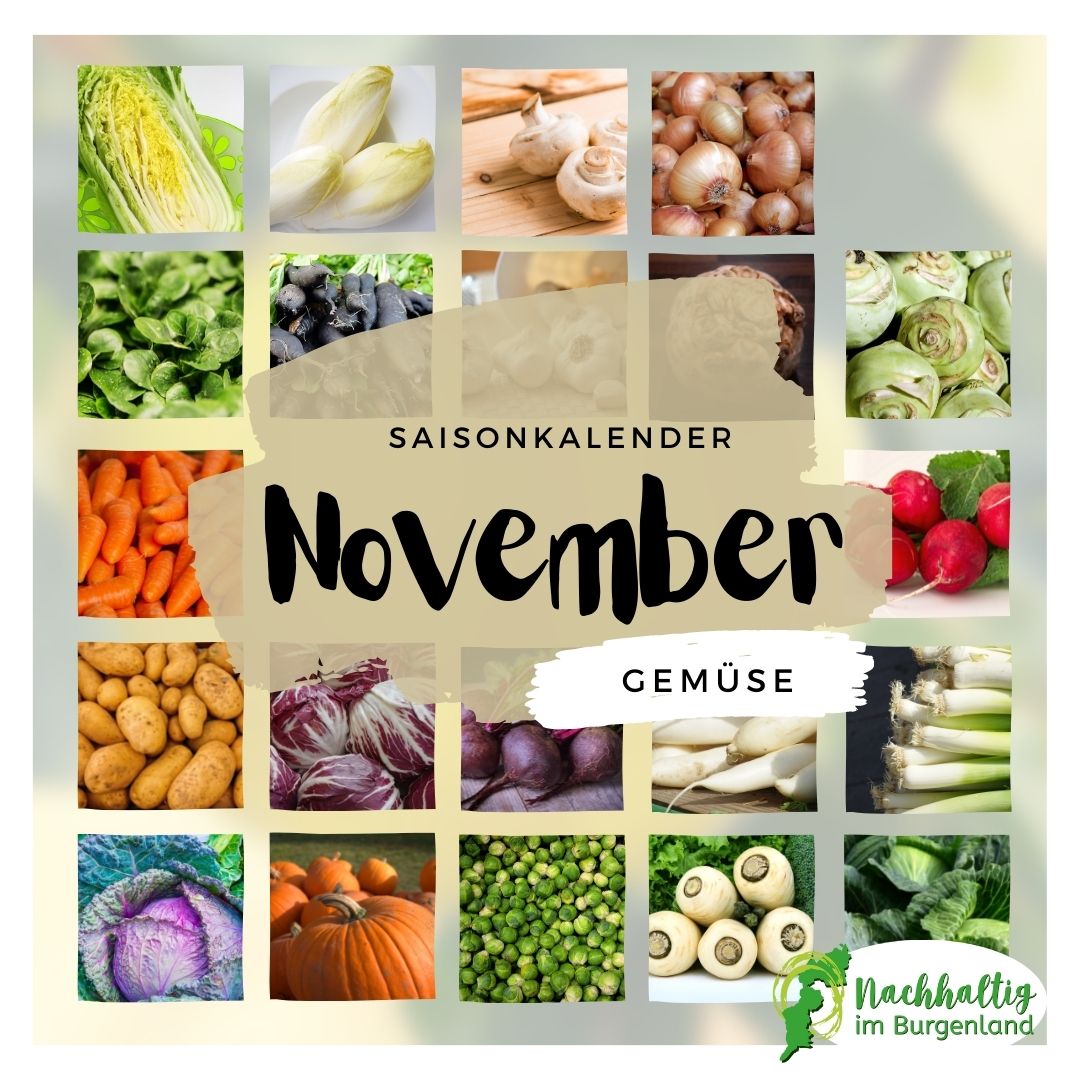 11 Saisonkalender November Gemuese