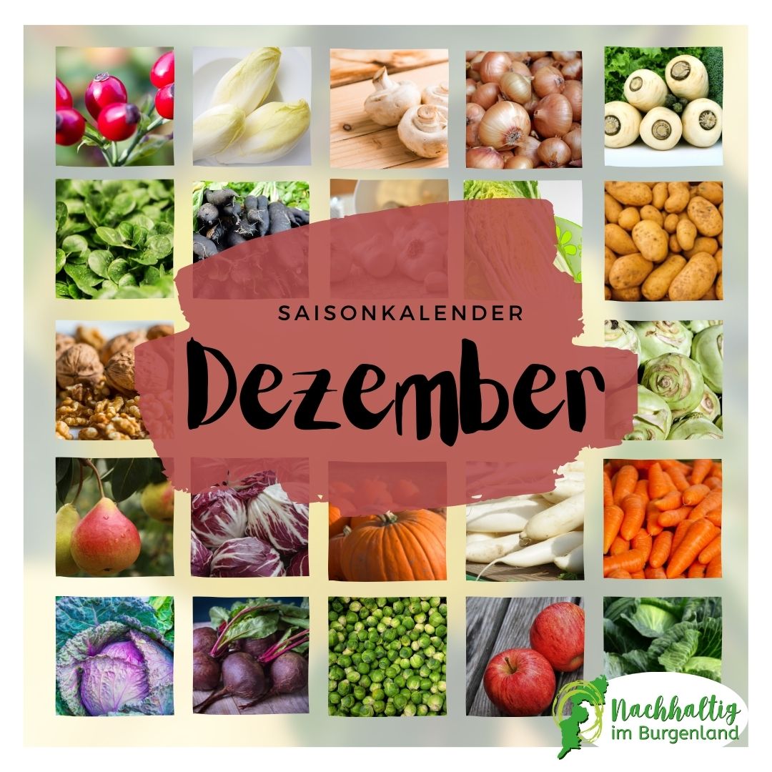 12 Saisonkalender Dezember