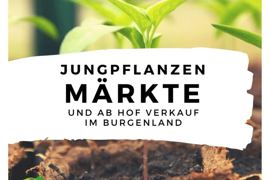 Jungpflanzen Maerkte und Ab Hof Verkauf