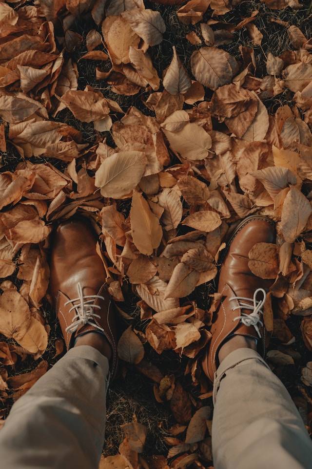 Laub, der goldene Schatz im Garten Im Laub stehen Foto von Clay Banks Unsplash Im Laub stehen Foto von Clay Banks Unsplash